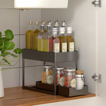 LeaderPro 2 Tier Under Sink Organizer Pull Out Sliding Storage Black